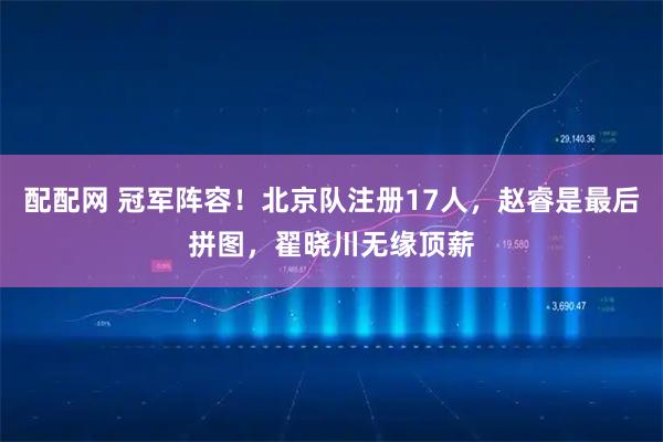配配网 冠军阵容！北京队注册17人，赵睿是最后拼图，翟晓川无缘顶薪
