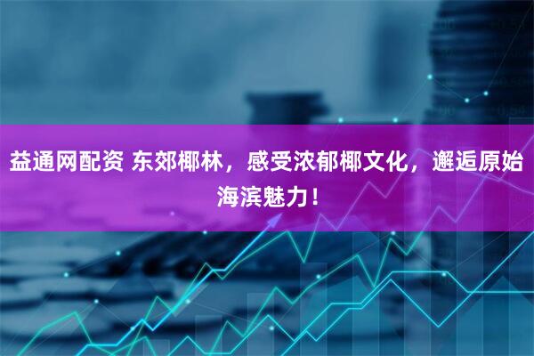 益通网配资 东郊椰林，感受浓郁椰文化，邂逅原始海滨魅力！