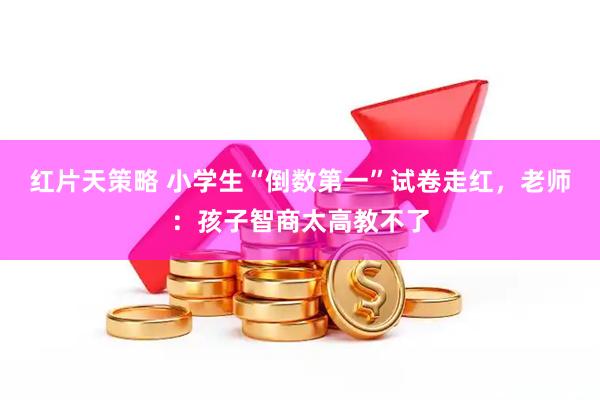 红片天策略 小学生“倒数第一”试卷走红，老师：孩子智商太高教不了